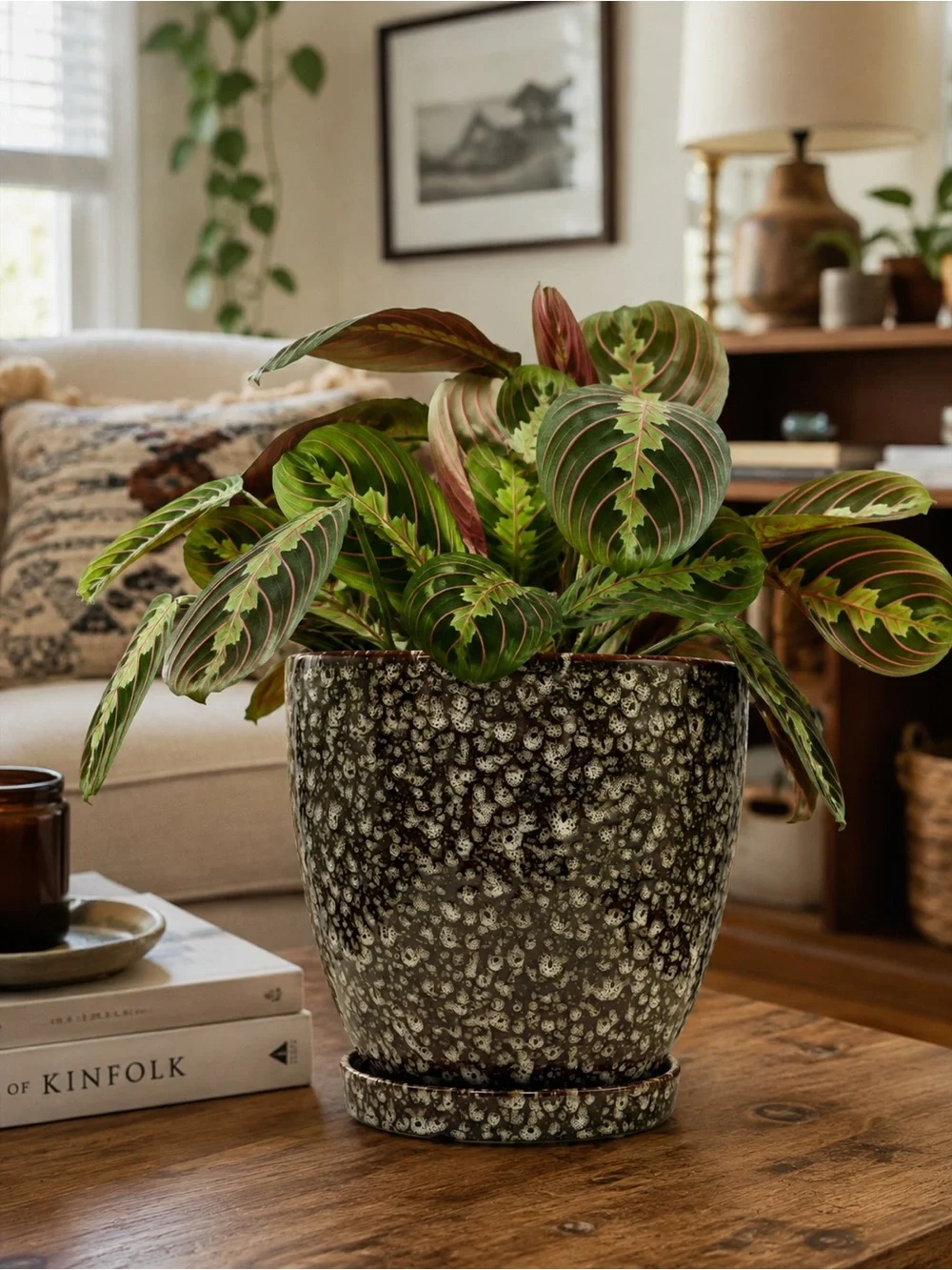 8 Inch Ceramic Planter with Attached Saucer & Drainage Hole | Speckled Brown Pot